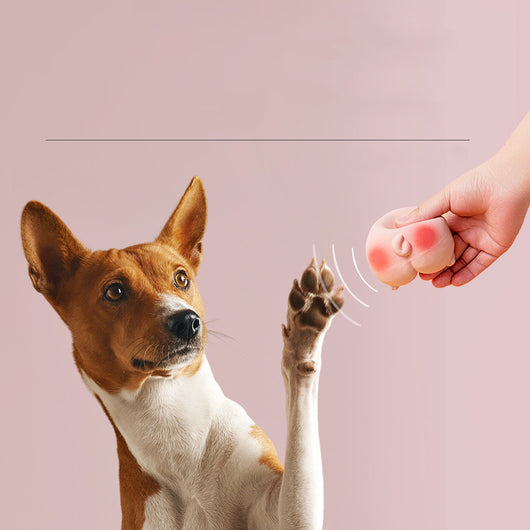 Juguete Interactivo de Látex con Sonidos Divertidos para Mascotas - Image 8