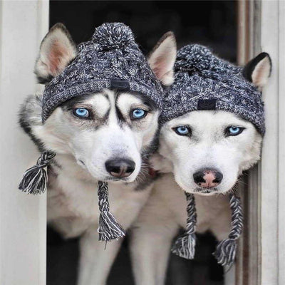 Gorro de Lana para Perros - Colección Otoño Invierno - Image 6