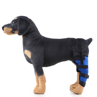 Soporte ortopédico para rehabilitación de patas en mascotas - Image 22