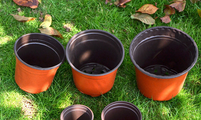 Maceta de Trasplante con Nutrientes Integrados - Vaso de Germinación Resistente - Image 17