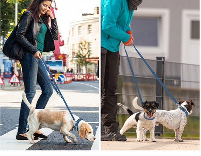 Collar Impermeable para Perros y Gatos Anti-Estrangulación - Image 18