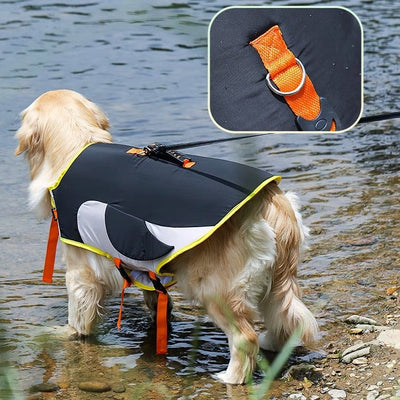 Ropa de Verano para Perros Corgi y Golden Retriever - Image 11