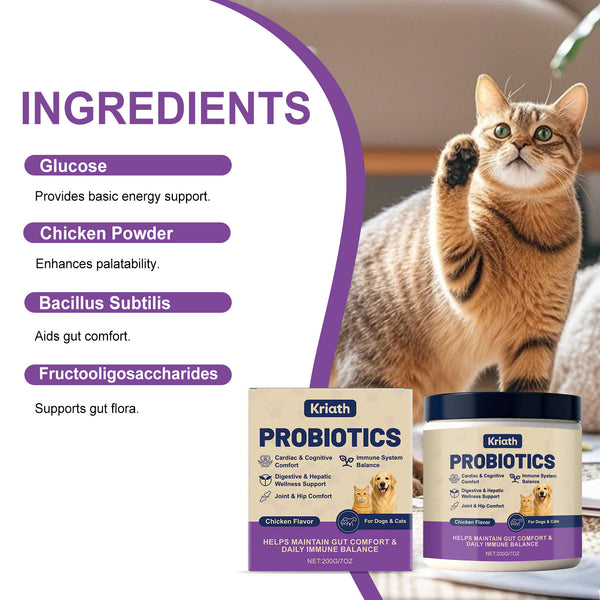 Polvo Probiótico para la Salud Digestiva de Mascotas