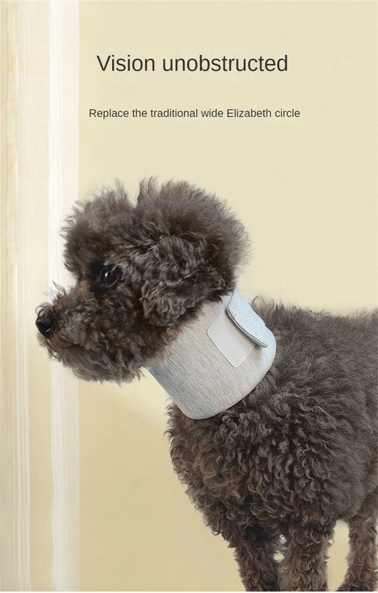 Collar Isabelino Ajustable para Perros y Gatos - Protección Post-Operatoria y Cicatrización - Image 17