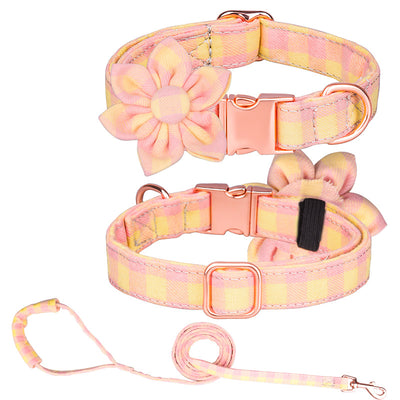 Juego de Collar y Correa Personalizado para Mascotas - Image 10