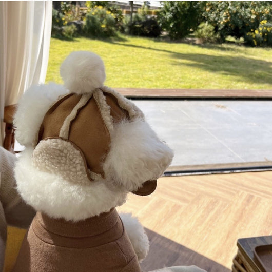 Gorro Térmico Forrado en Lana para Mascotas - Protección Contra Viento y Frío - Image 7