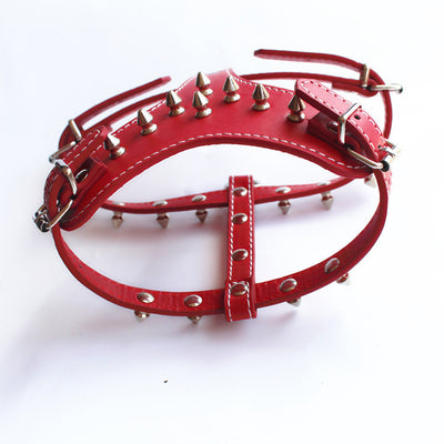 Arnés de Cuero con Tachuelas para Perros Pequeños - Chaleco Protector Negro - Image 10