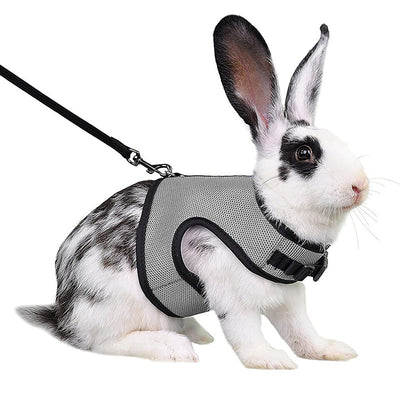Light gray mesh pet harness with black trim and matching leash on a black and white rabbit. - Image 11
