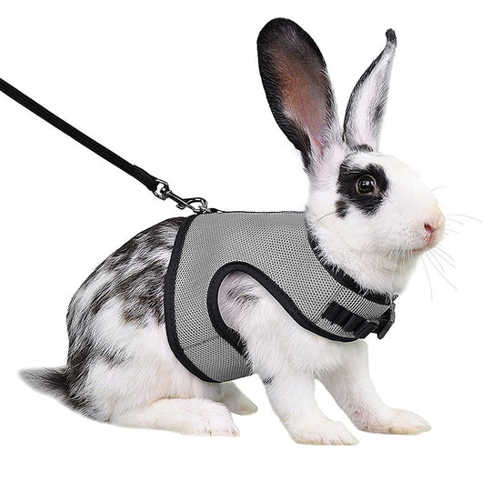 Light gray mesh pet harness with black trim and matching leash on a black and white rabbit. - Image 11