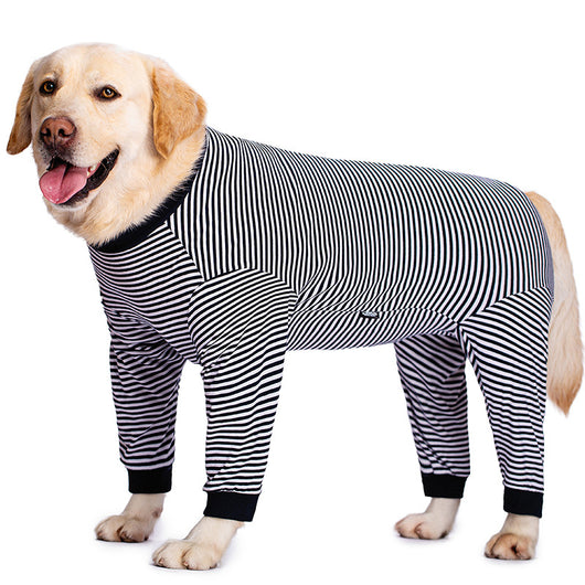Ropa Ligera para Perros Golden Retriever y Labrador - Image 7