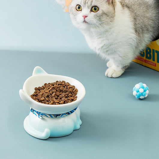 Comedero para Gatos con Protección Cervical de Cerámica - Image 3