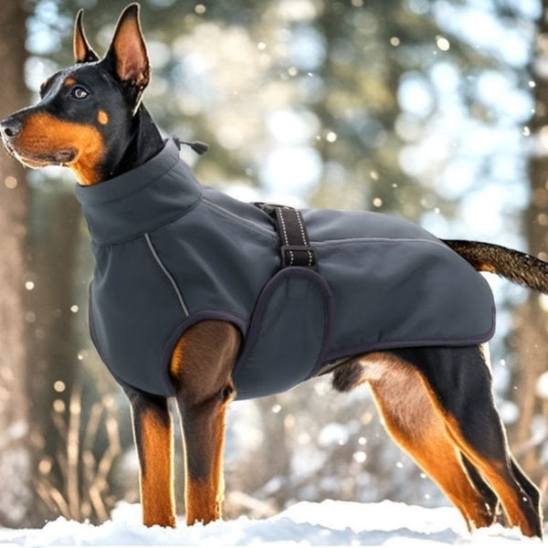 Chaleco y Abrigo Grueso para Invierno - Colección Otoño Invierno