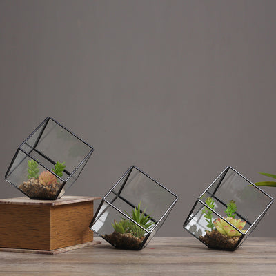 Invernadero de Vidrio Cuadrado Oblicuo - Maceta Transparente para Plantas - Image 10