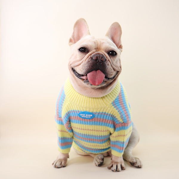 Suéter de Invierno para Perros Pequeños - Abrigo Cálido para Razas Toy