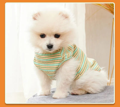 Playera Refrescante para Perros Pequeños - Outfit Primavera Verano Chihuahua Yorkshire - Image 11
