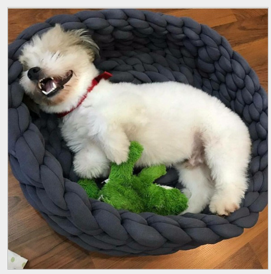 Cama Tejida para Gatos y Perros Lavable a Máquina - Algodón Premium - Image 14