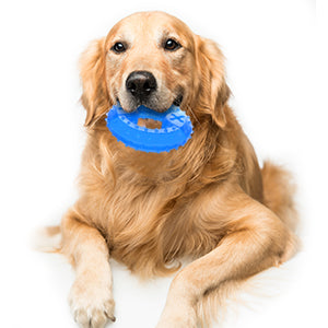 Juguete Refrigerante para Perros y Cachorros con Compartimento para Premios - Image 11