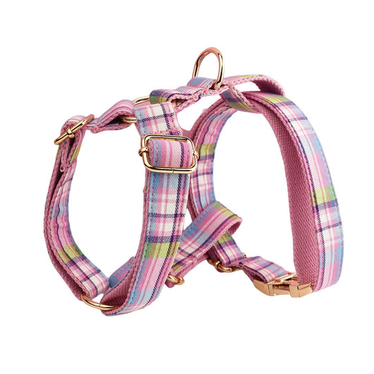 Collar y Correa de Tracción para Perros Qicaigei - Image 21