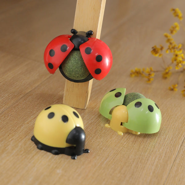 Pelota Interactiva Musical para Gatos con Catnip y Masaje Dental