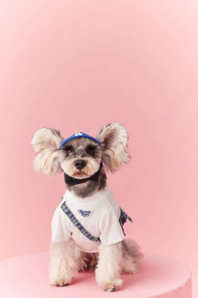 Ropa de Verano para Perros Pequeños - Teddy Schnauzer Bichón - Image 7