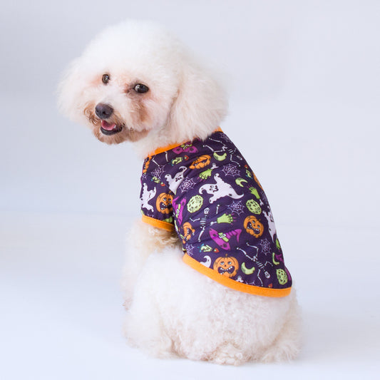 Ropa Halloween para Gatos - Diseño Elegante y Minimalista