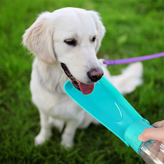 Yellow 450ml portable pet water bottle with a folding drinking trough and white wrist strap, on grass. - Image 18