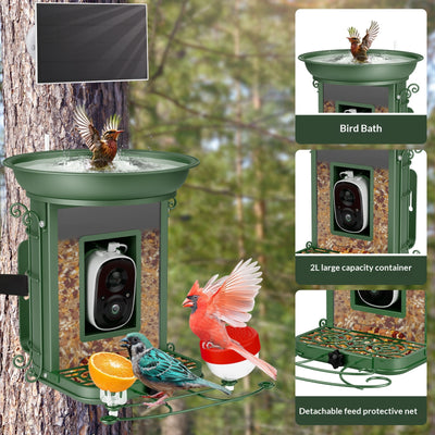 Comedero Inteligente para Aves con Energía Solar e IA - Image 14