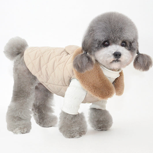 Ropa Térmica de Algodón para Mascotas - Abrigo Cálido Invierno - Image 10