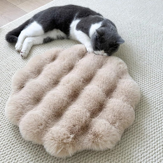 Cama Redonda Térmica para Mascotas - Confort Otoño Invierno - Image 11