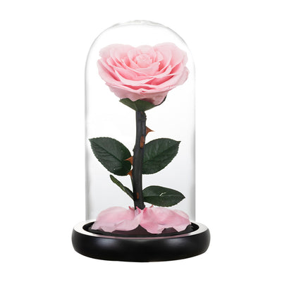 Corazón de Flores Preservadas para San Valentín - Regalo Eterno - Image 5