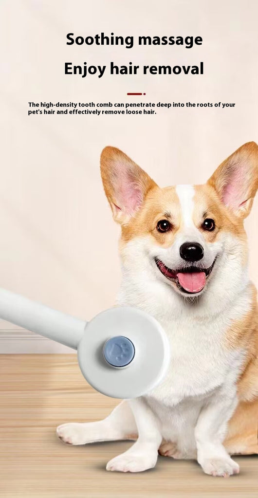 Peine Desinfectante USB para Mascotas con Luz UV - Image 15