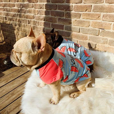 Ropa Fresca de Algodón para Perros - Manga Corta Primavera y Otoño - Image 6