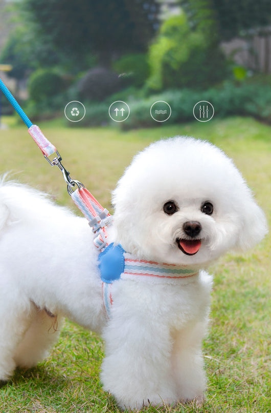 Arnés Respirador para Perros Pequeños y Medianos - Chaleco Cómodo para Paseos de Verano - Image 17