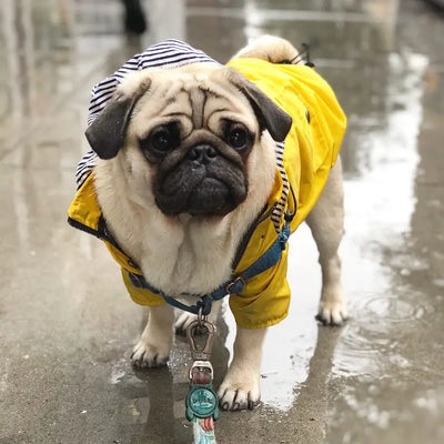 Impermeable para Perros - Abrigo Protector Contra Lluvia - Image 24