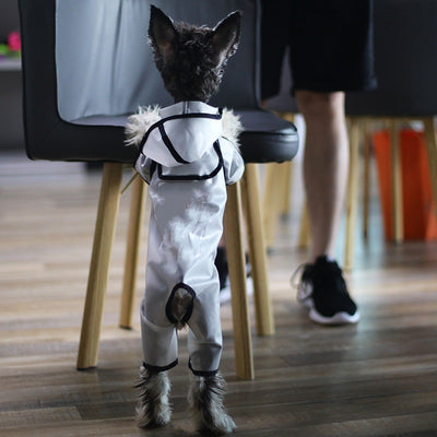 Impermeable para Perros Pequeños y Medianos - Protección Total Cuatro Patas - Image 10