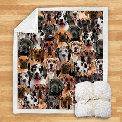 Manta Franela Estampada para Perros - Image 47