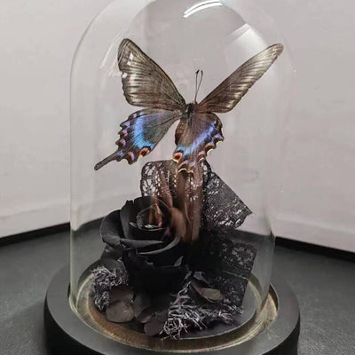 Cinturón Verde con Especímenes de Mariposas Reales en Vitrina de Cristal - Image 4