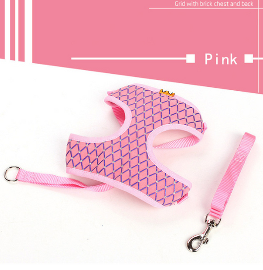 Correa Universal para Perros y Gatos - Image 15