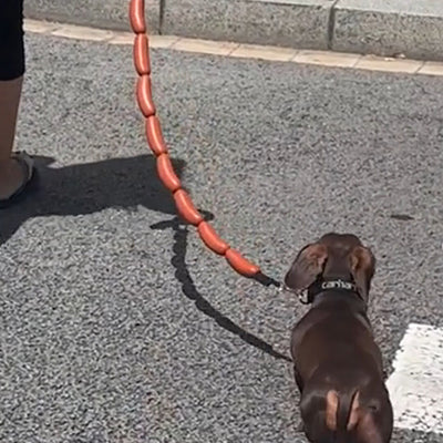 Juguete de Cuerda para Perro con Salchichas Grandes - Image 3