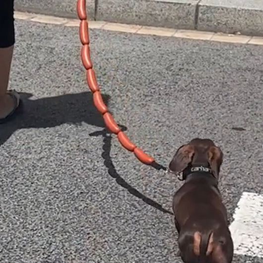 Juguete de Cuerda para Perro con Salchichas Grandes - Image 3
