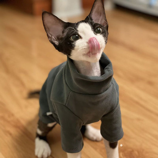 Sudadera Térmica Autocalefactable para Gatos sin Pelo - Otoño e Invierno - Image 4