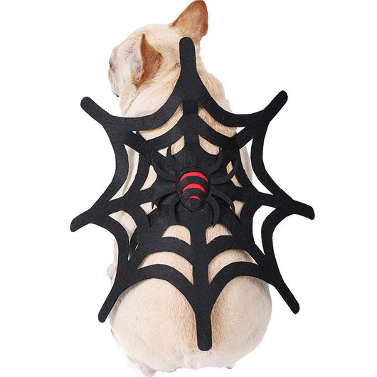 Kit de Transformación Halloween: Disfraz para Mascotas Gato, Perro y Telaraña - Image 6