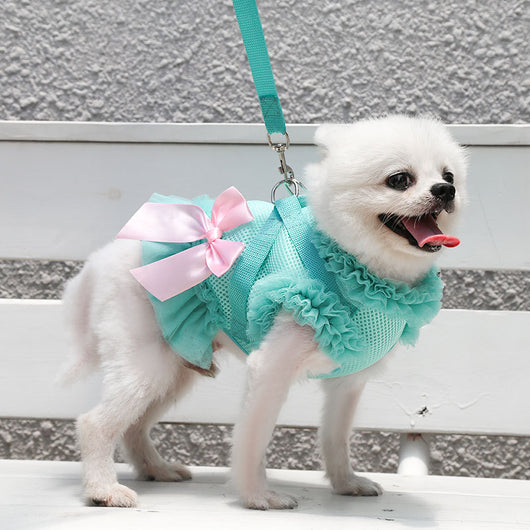 Arnés Respirable con Falda para Perros - Chaleco Cómodo y Fresco - Image 4