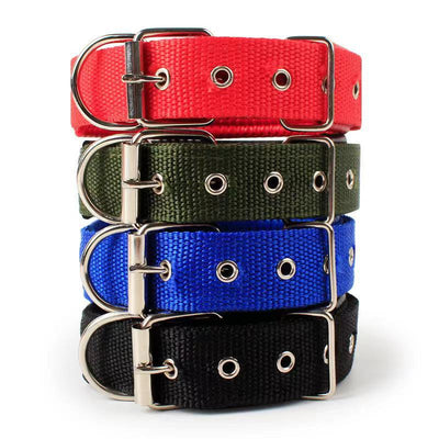 Collares Ajustables para Perros Grandes de Tamaño Compacto - Image 3