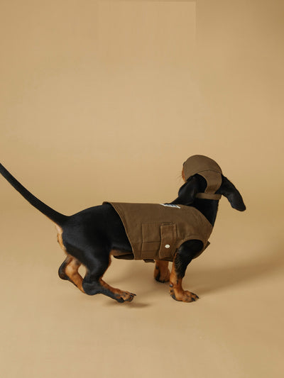 Chaleco Deportivo para Mascotas - Ropa de Trabajo Resistente a Manchas - Image 10