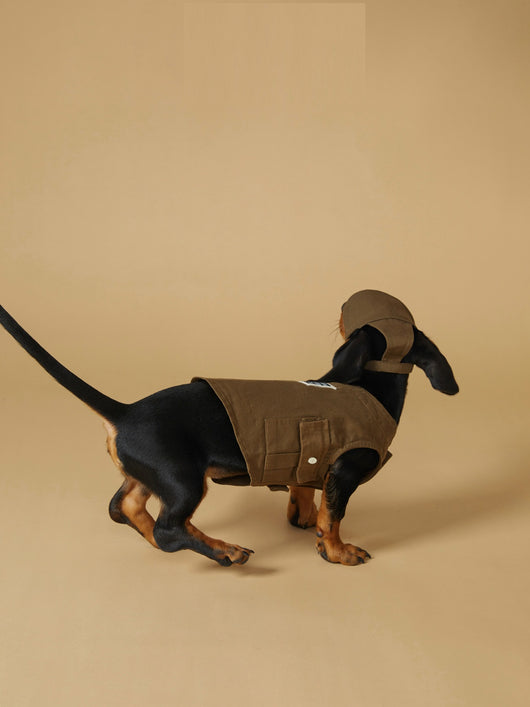 Chaleco Deportivo para Mascotas - Ropa de Trabajo Resistente a Manchas - Image 10