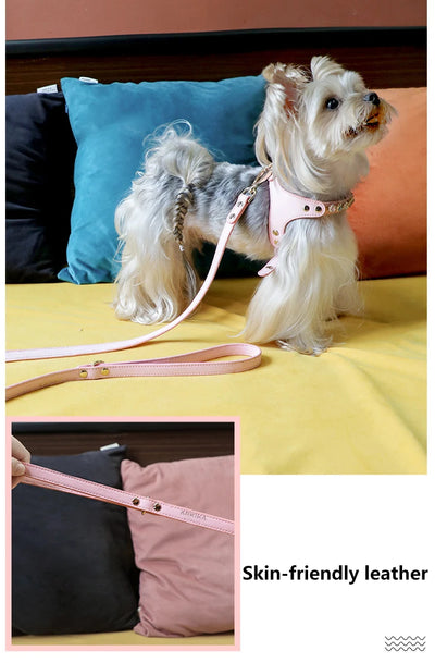 Arnés y Correa para Perro de Cuero PU con Strass Ajustable - Image 18