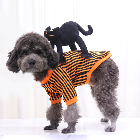 Ropa de Mascota Temática Halloween - Gato Negro, Araña y Calabaza - Image 17