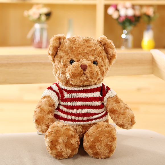 Osito de Peluche Suave y Acogedor