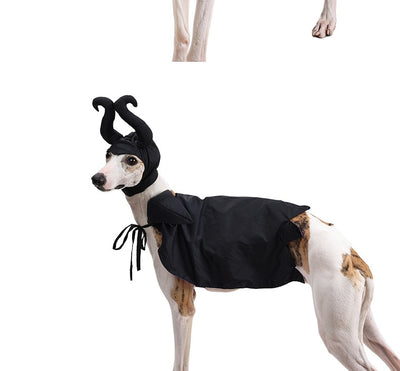 Capa y Sombrero de Halloween para Perros - Disfraz Festivo para Mascotas - Image 14